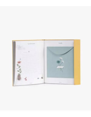 Livre de naissance