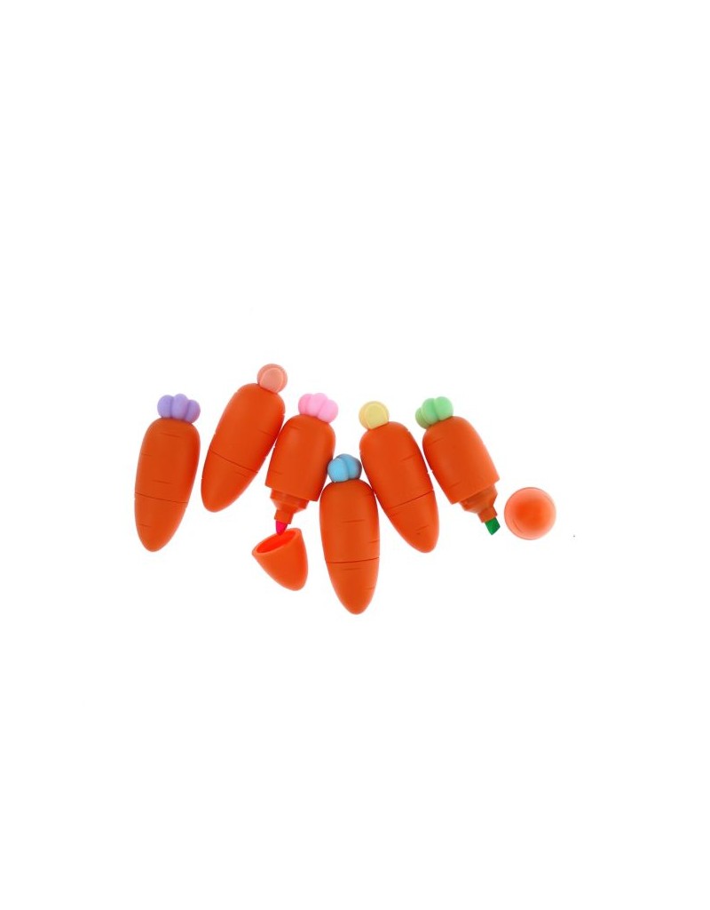 Lot de 6 surligneurs carottes