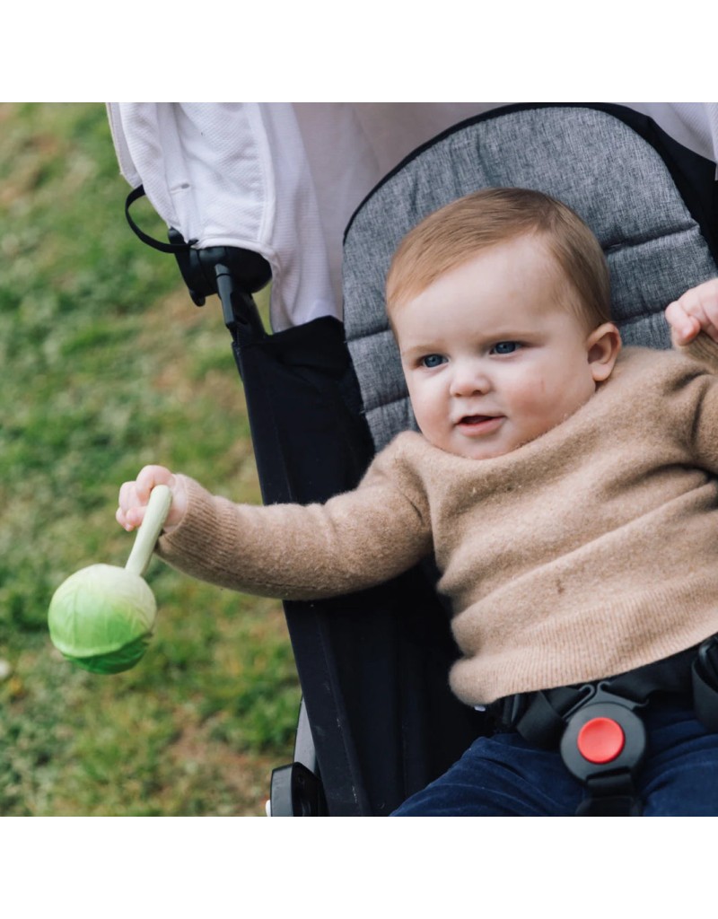 Green Cabbage Hochet Bébé