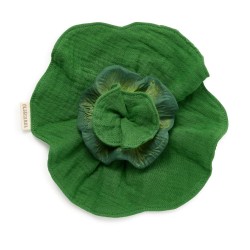 Anneau dentaire salade