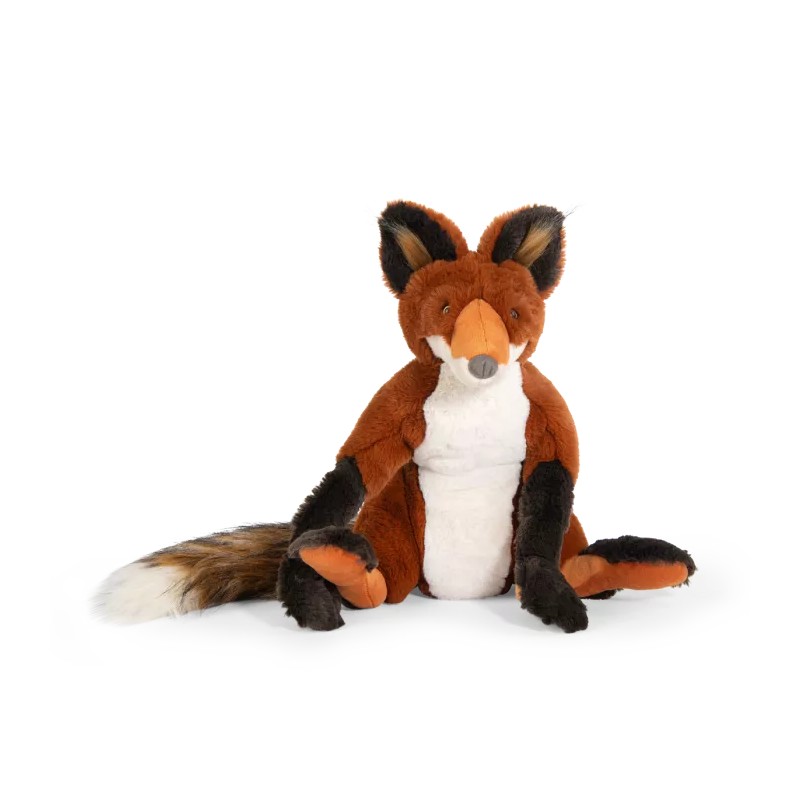 Renard