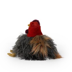 Poule
