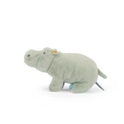 Grand hippopotame