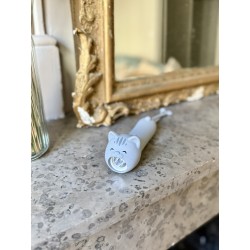 Lampe torche chat 18578