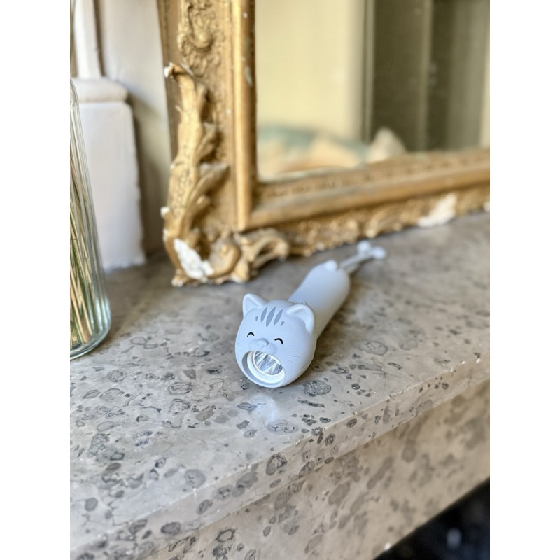 Lampe torche chat 18578