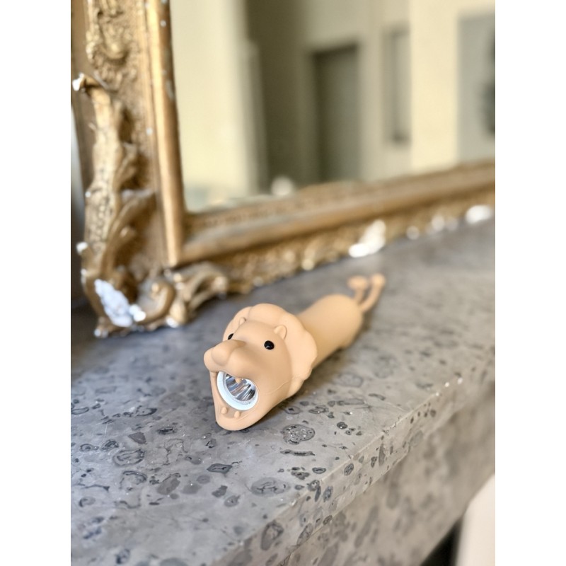 Lampe torche Lion 18549