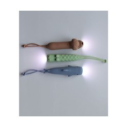 Lampe torche chien 18435