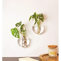 Duo vases muraux 17004