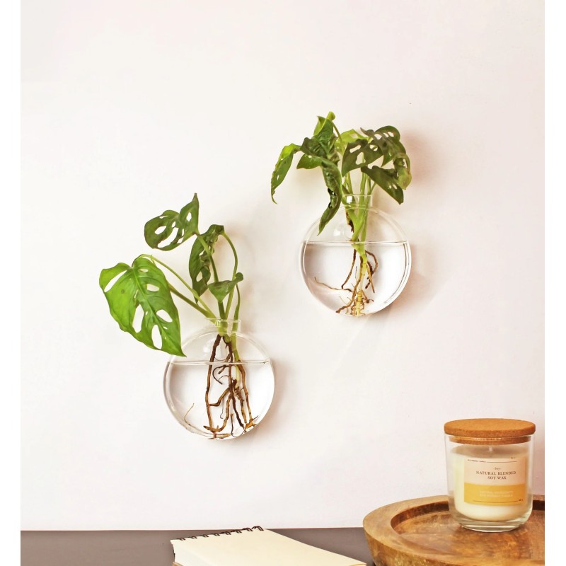 Duo vases muraux 17004