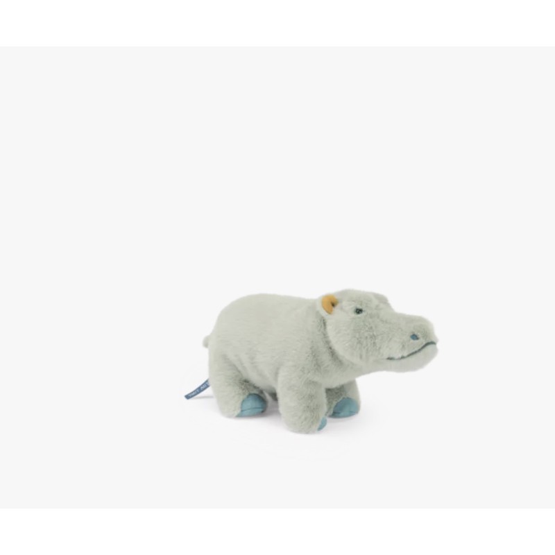 Petit hippopotame