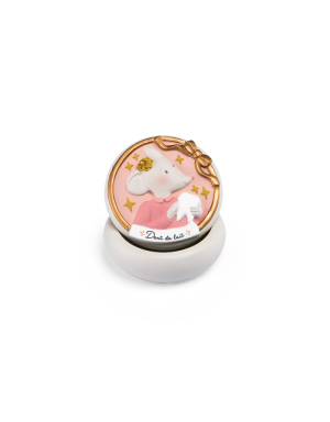 Boîte à dent de lait